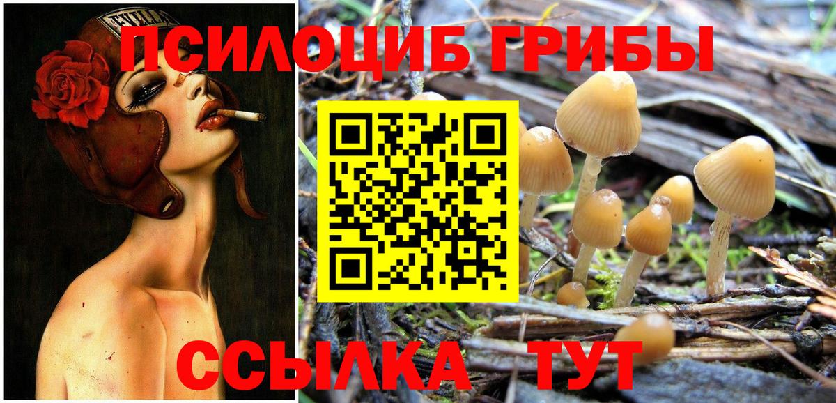 Галлюциногенные грибы прущие грибы Буйнакск