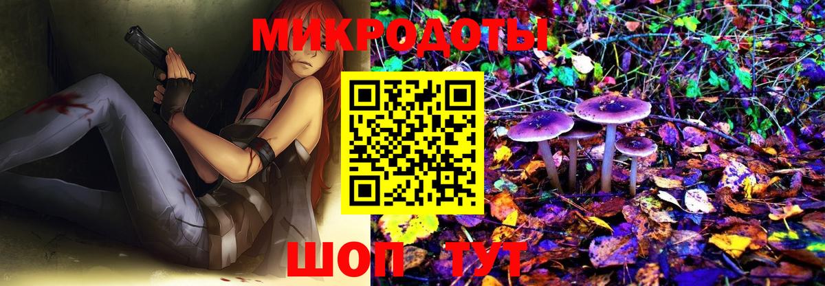 Псилоцибиновые грибы мухоморы  Псилоцибиновые грибы Psilocybe  как найти   Вход с VPN  Буйнакск 